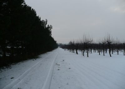 Strona główna