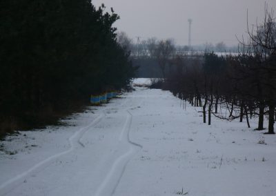 Strona główna