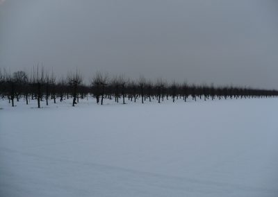 Strona główna