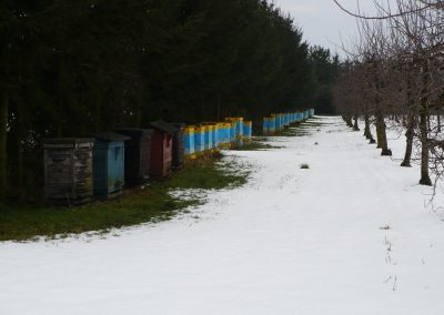 Strona główna